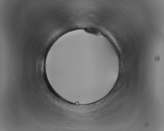 X0000094420019200712061102