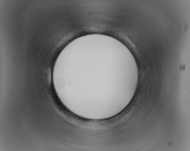 X0000094420020200712061102