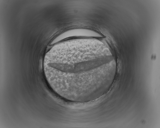 X0000094420021200712061102