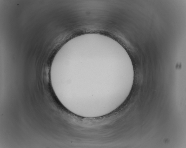 X0000094420022200712061102