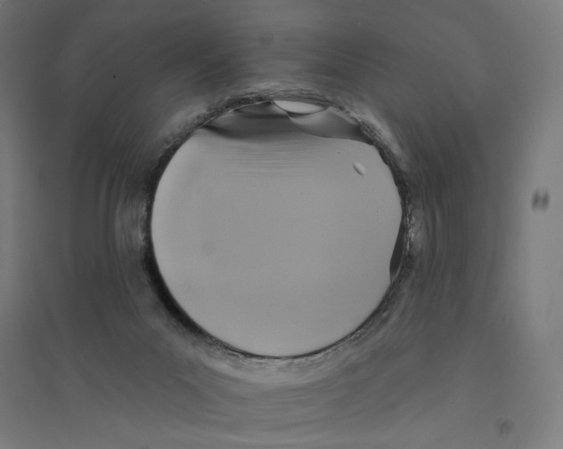 X0000094420023200712061102