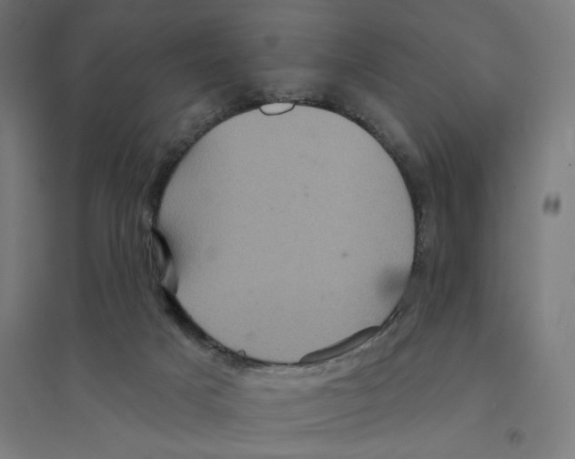 X0000094420025200712061102