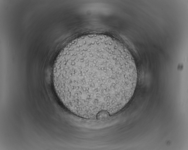 X0000094420026200712061102