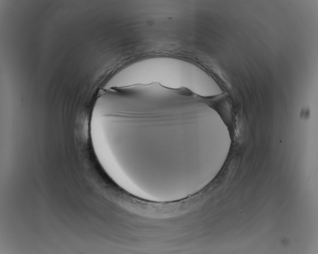 X0000094420027200712061102