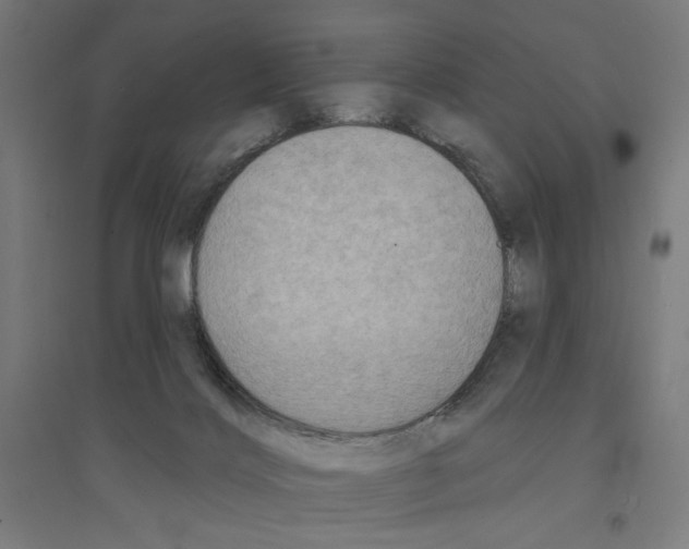 X0000094420028200712061102