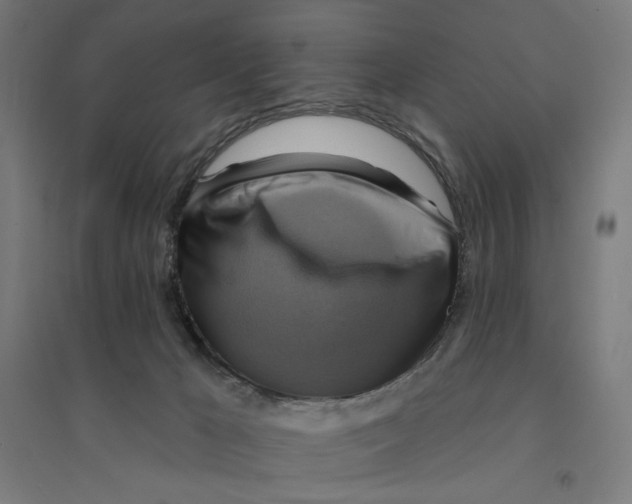 X0000094420029200712061102