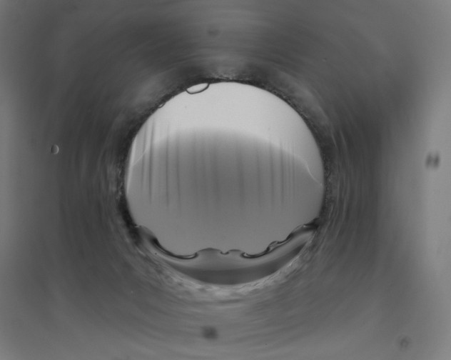 X0000094420031200712061102