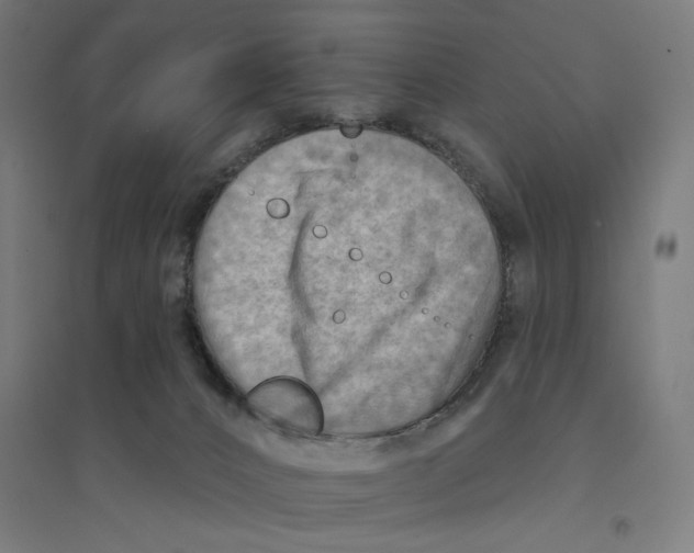 X0000094420032200712061102