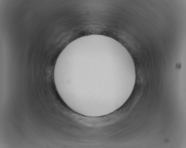 X0000094420034200712061102