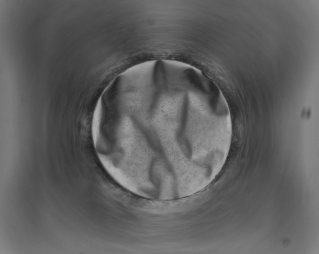 X0000094420037200712061102