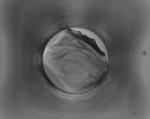 X0000094420039200712061102