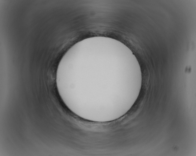 X0000094420040200712061102