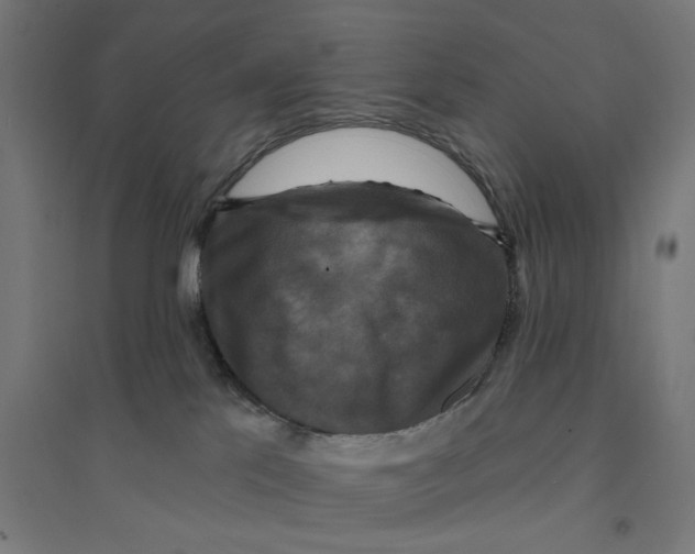 X0000094420041200712061102