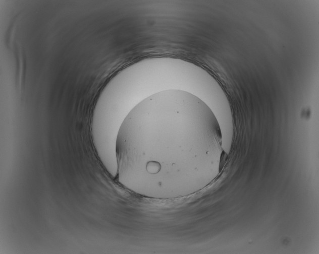 X0000094420045200712061101