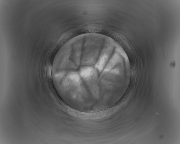 X0000094420046200712061101