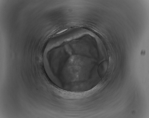 X0000094420048200712061101