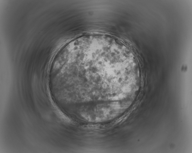 X0000094420049200712061101