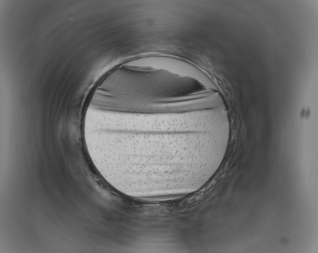 X0000094420050200712061101