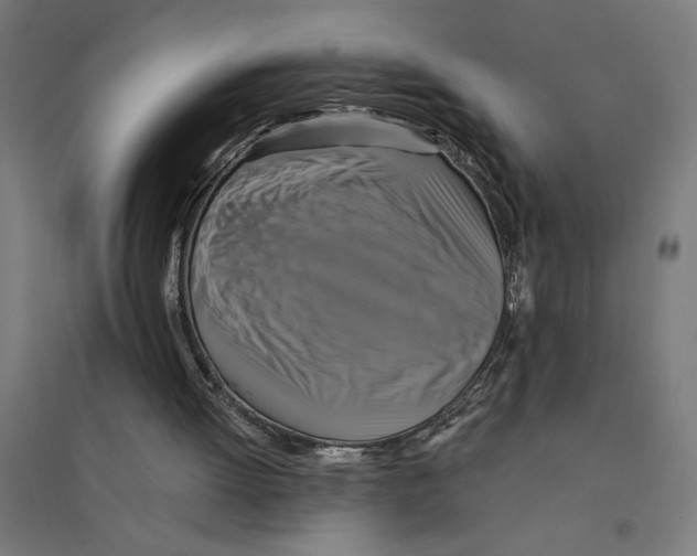 X0000094420052200712061101