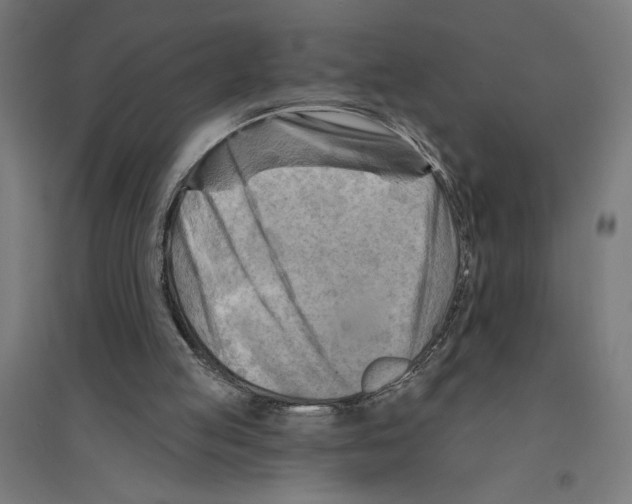 X0000094420053200712061101