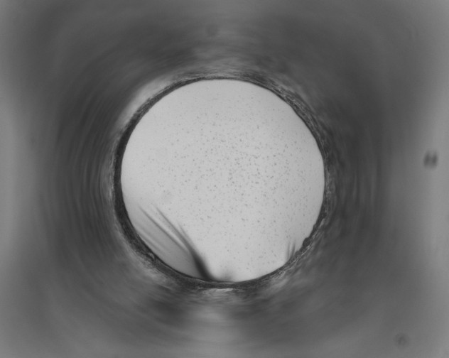 X0000094420054200712061101