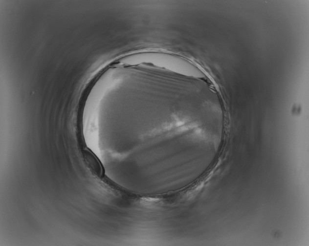 X0000094420055200712061101