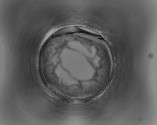 X0000094420056200712061101