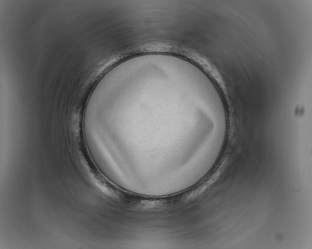 X0000094420057200712061101