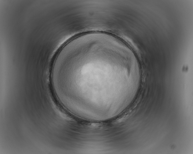 X0000094420060200712061101