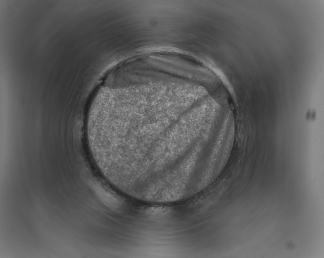 X0000094420063200712061101