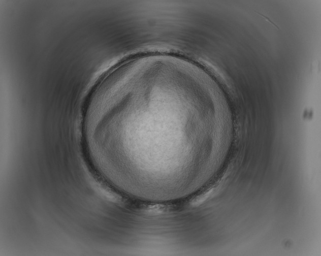 X0000094420064200712061101