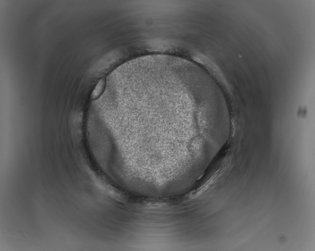 X0000094420066200712061101