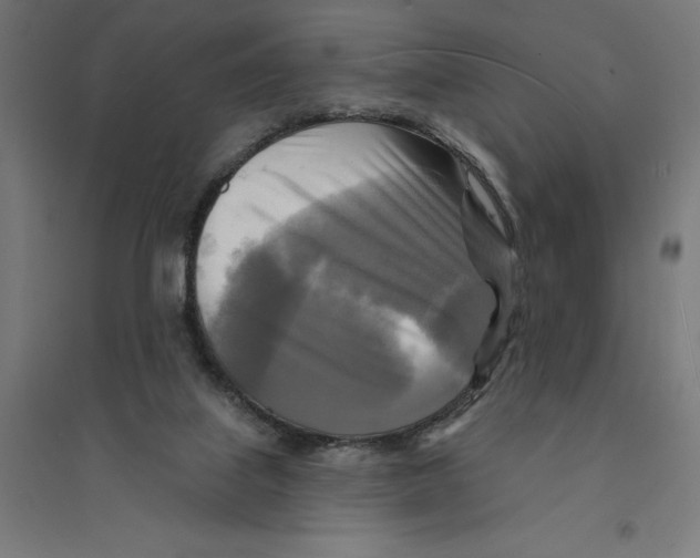 X0000094420067200712061101