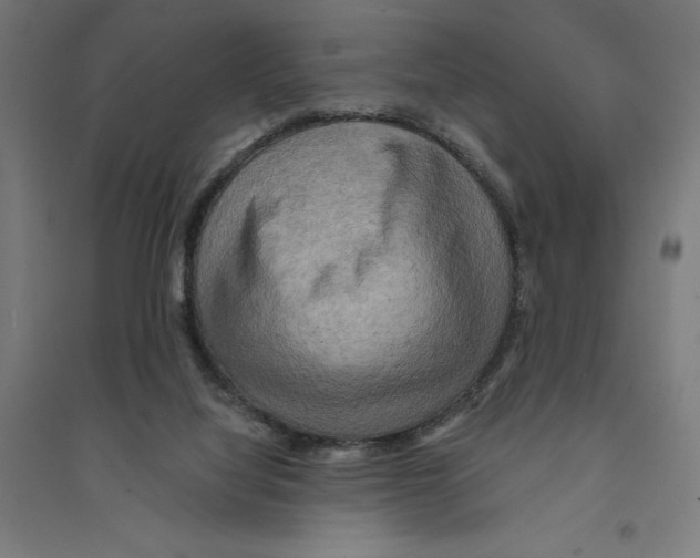 X0000094420068200712061101