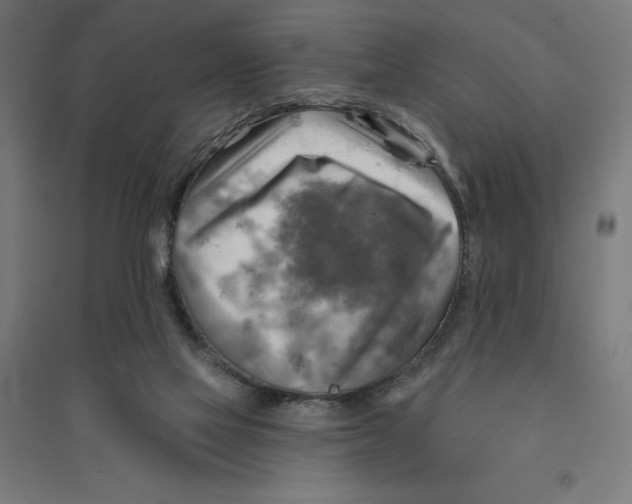 X0000094420069200712061101