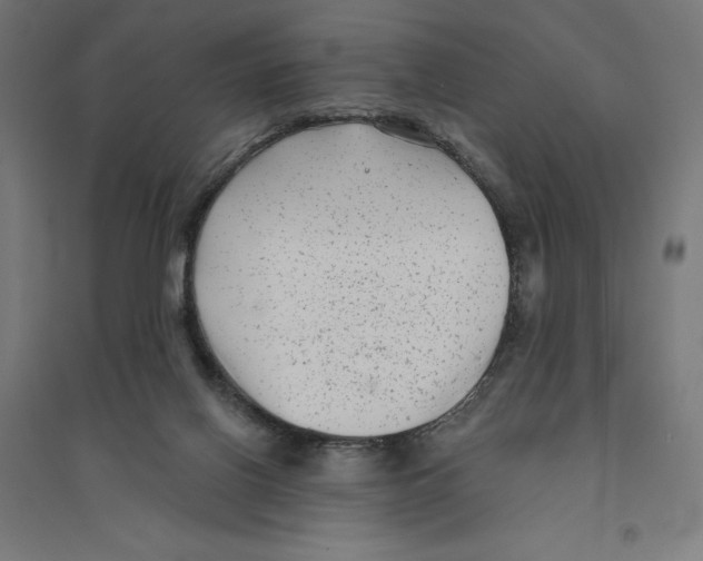 X0000094420070200712061101