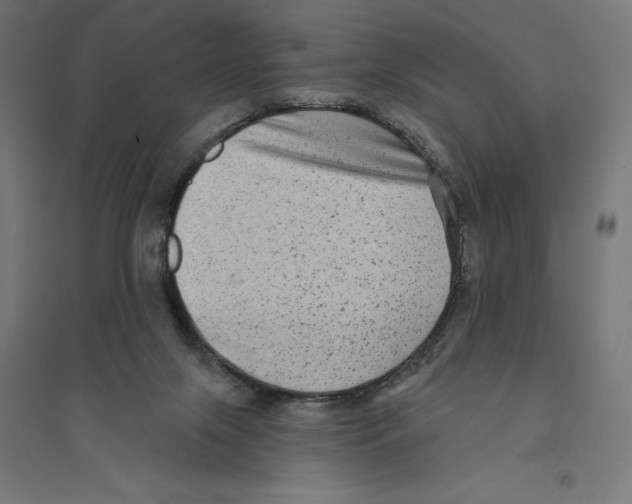 X0000094420071200712061101