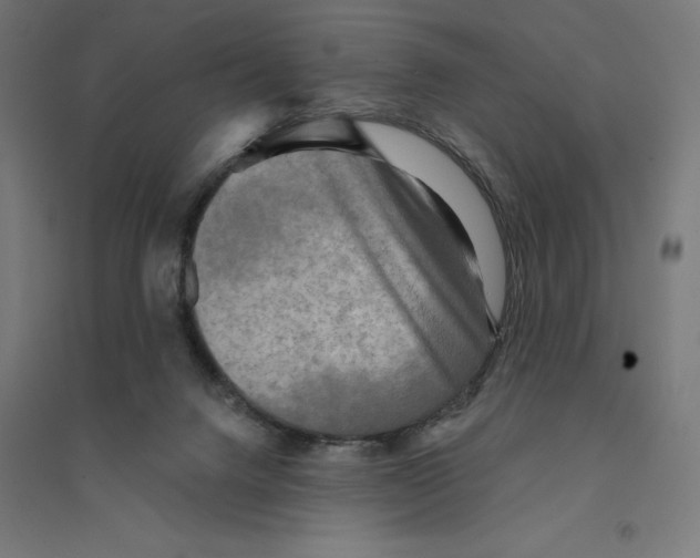 X0000094420072200712061101