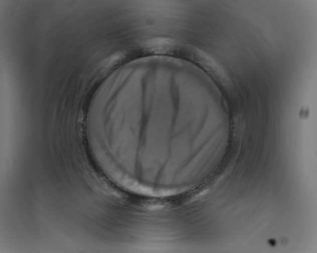 X0000094420073200712061101