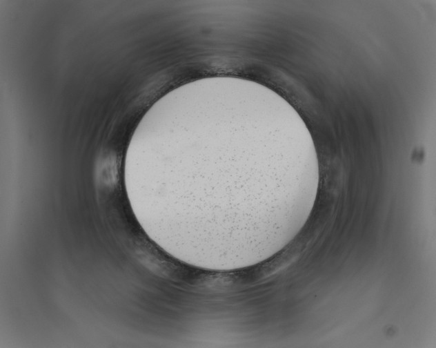 X0000094420075200712061101