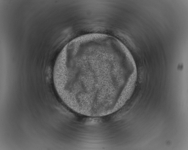 X0000094420077200712061101