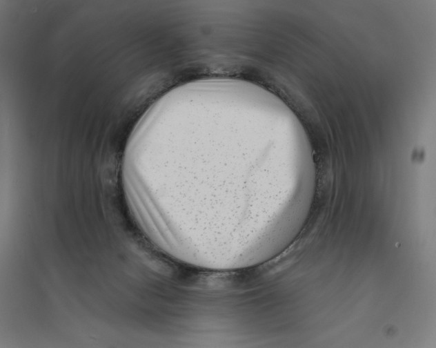 X0000094420078200712061101