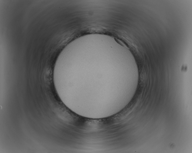 X0000094420079200712061101