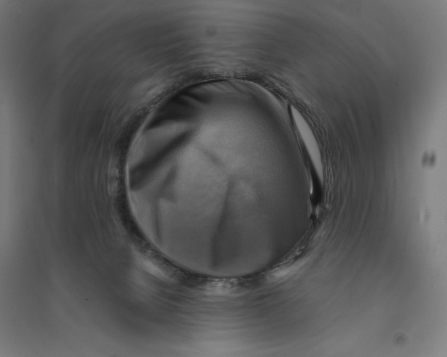 X0000094420080200712061101