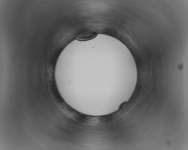 X0000094420083200712061101