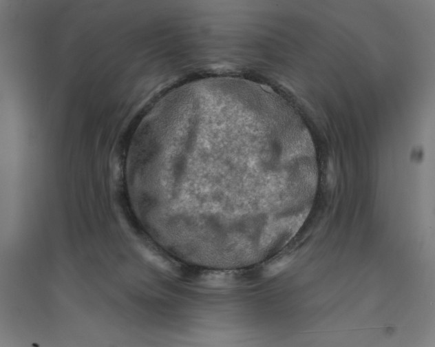 X0000094420084200712061101