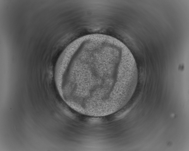 X0000094420085200712061101