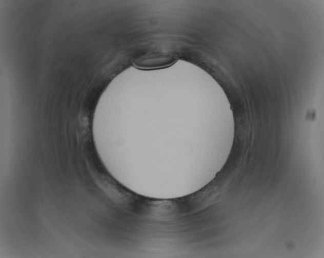 X0000094420087200712061101