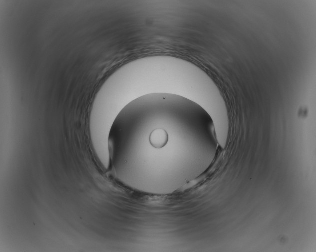 X0000094420088200712061101