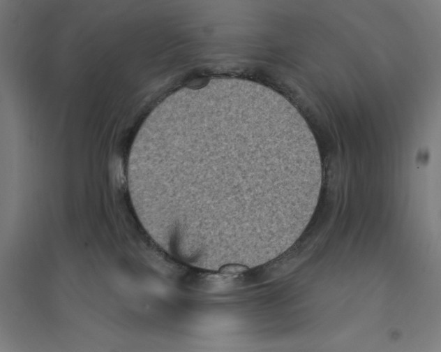 X0000094420089200712061101